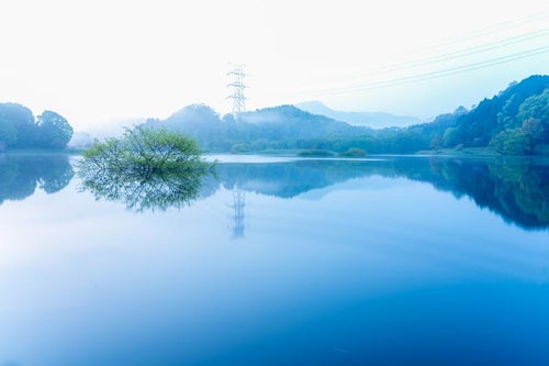 朝霧と日野川ダムの写真