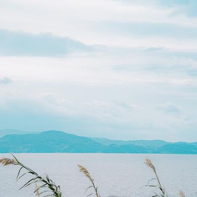 風に揺れるススキと穏やかな海と遠くの山々の写真