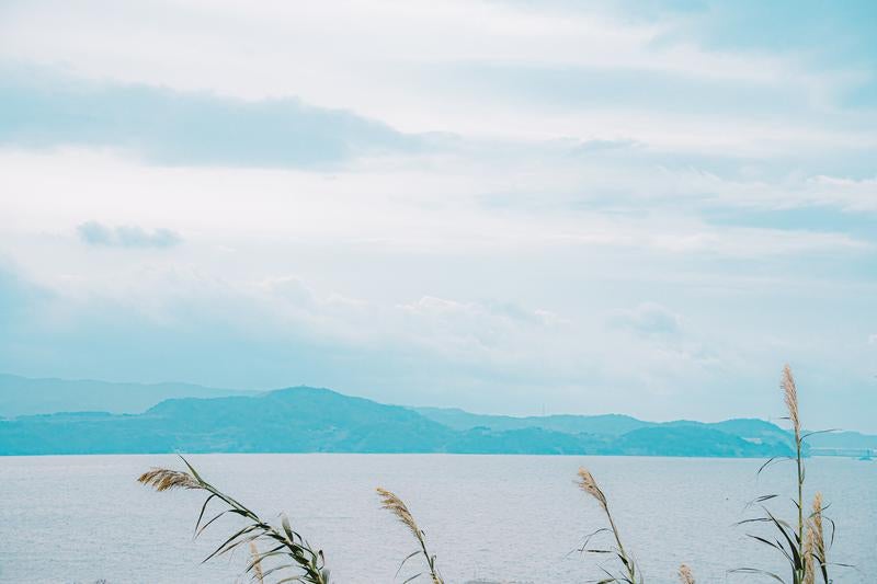 風に揺れるススキと穏やかな海と遠くの山々の写真