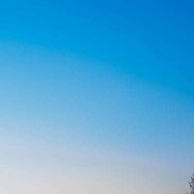 夕暮れと鳥たちの素材
