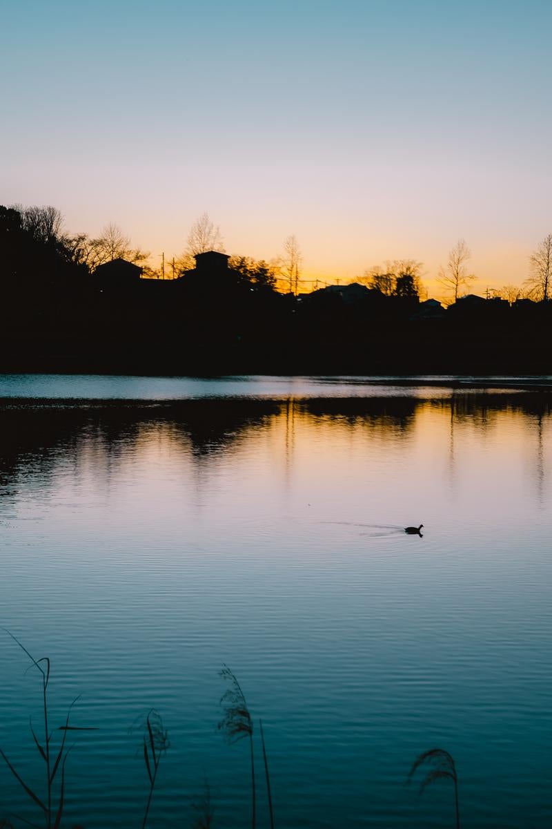 「夕暮れの唯摩池」の写真