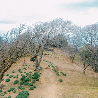 和歌山県雑賀崎台場から見える寒空の景色の写真