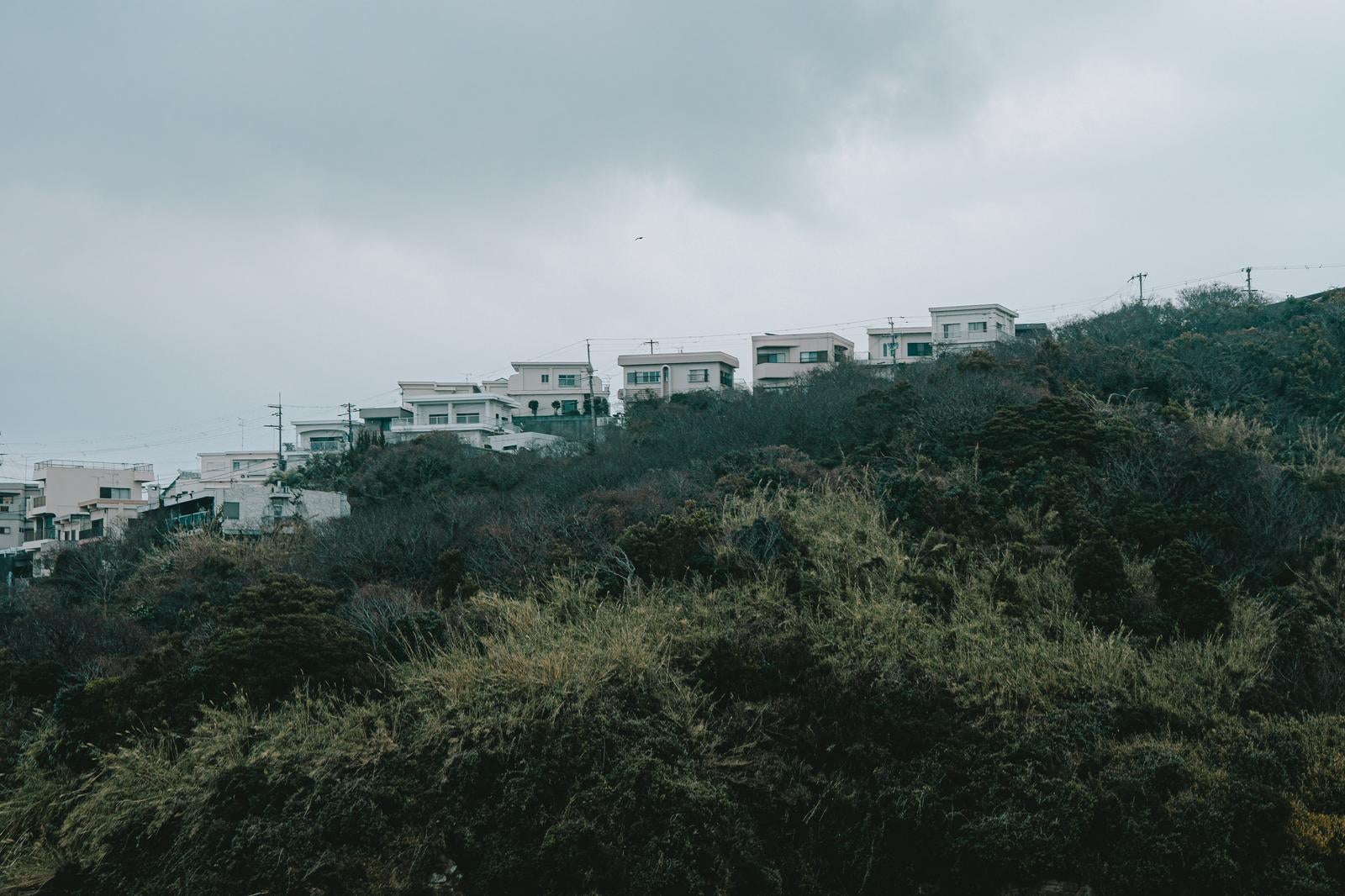 「曇天に映える丘陵地の住宅」の写真