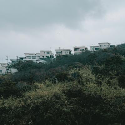 曇天に映える丘陵地の住宅の素材