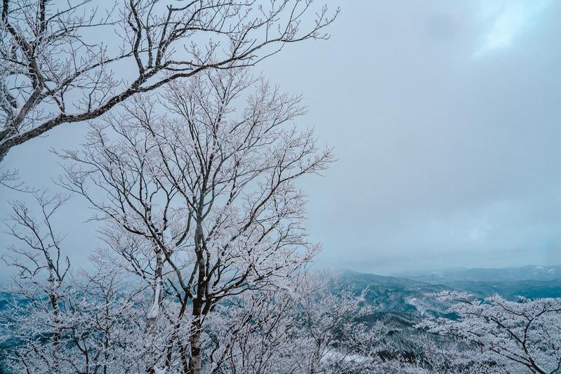 山々を見下ろす霧氷の木々が魅せる冬景色の写真