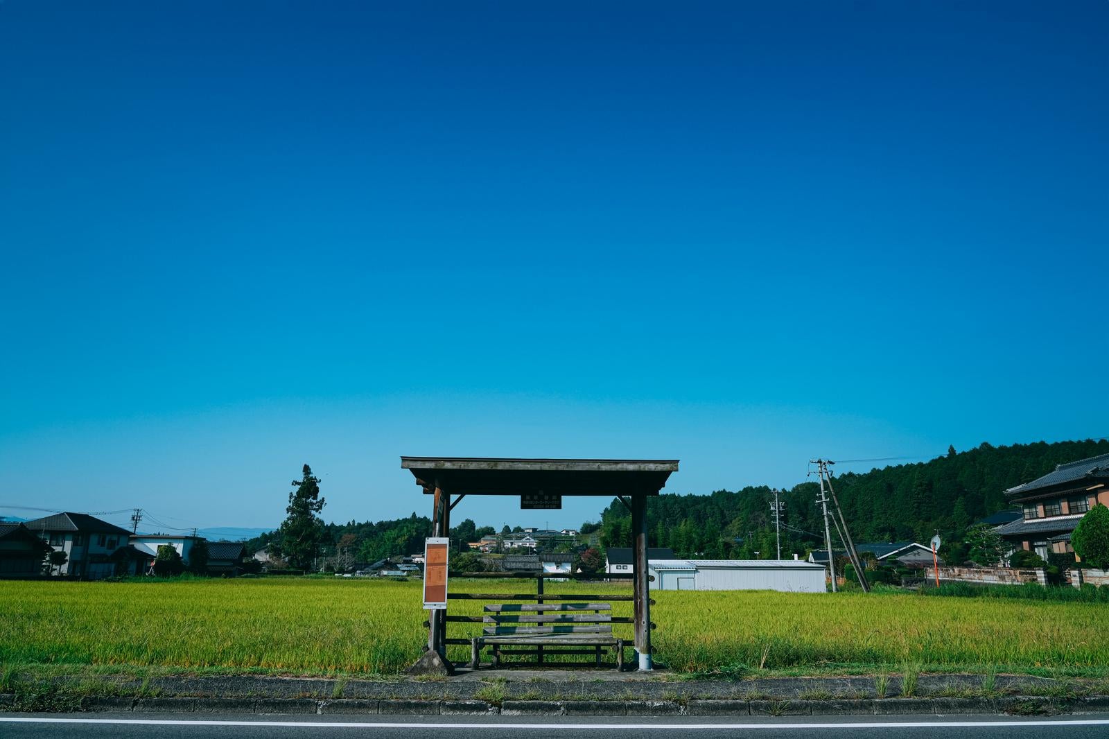 「緑豊かな田舎道に佇む小さなバス停」の写真