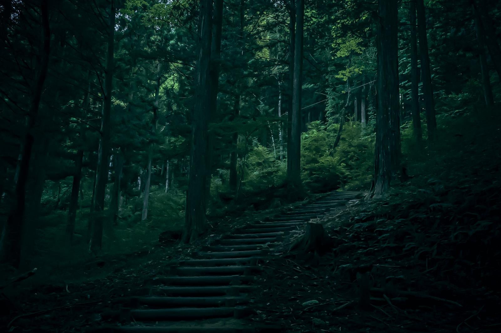 「自然の中に続く奥深い付知峡の階段」の写真