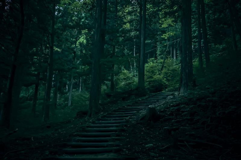 自然の中に続く奥深い付知峡の階段の写真