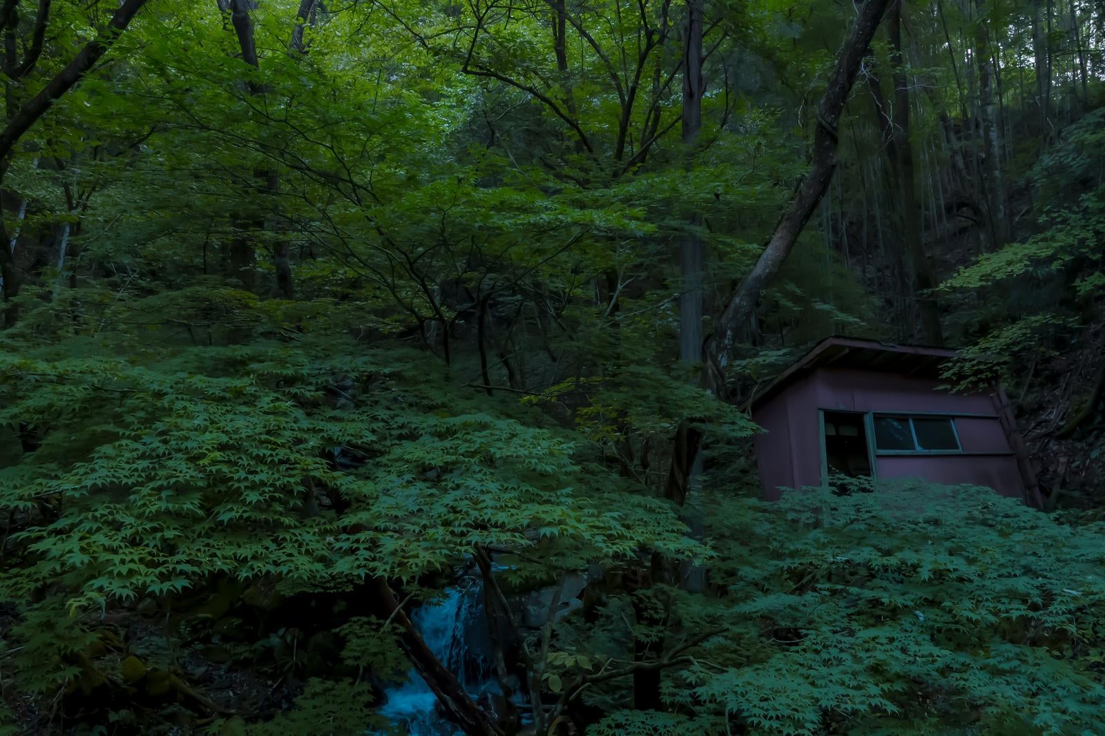 「付知峡の深い森の中に佇む傾いた小屋」の写真