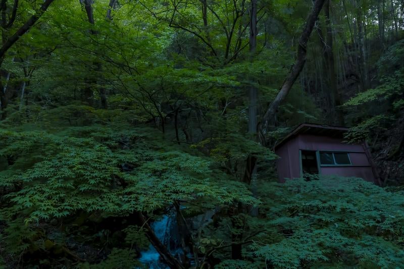 付知峡の深い森の中に佇む傾いた小屋の写真