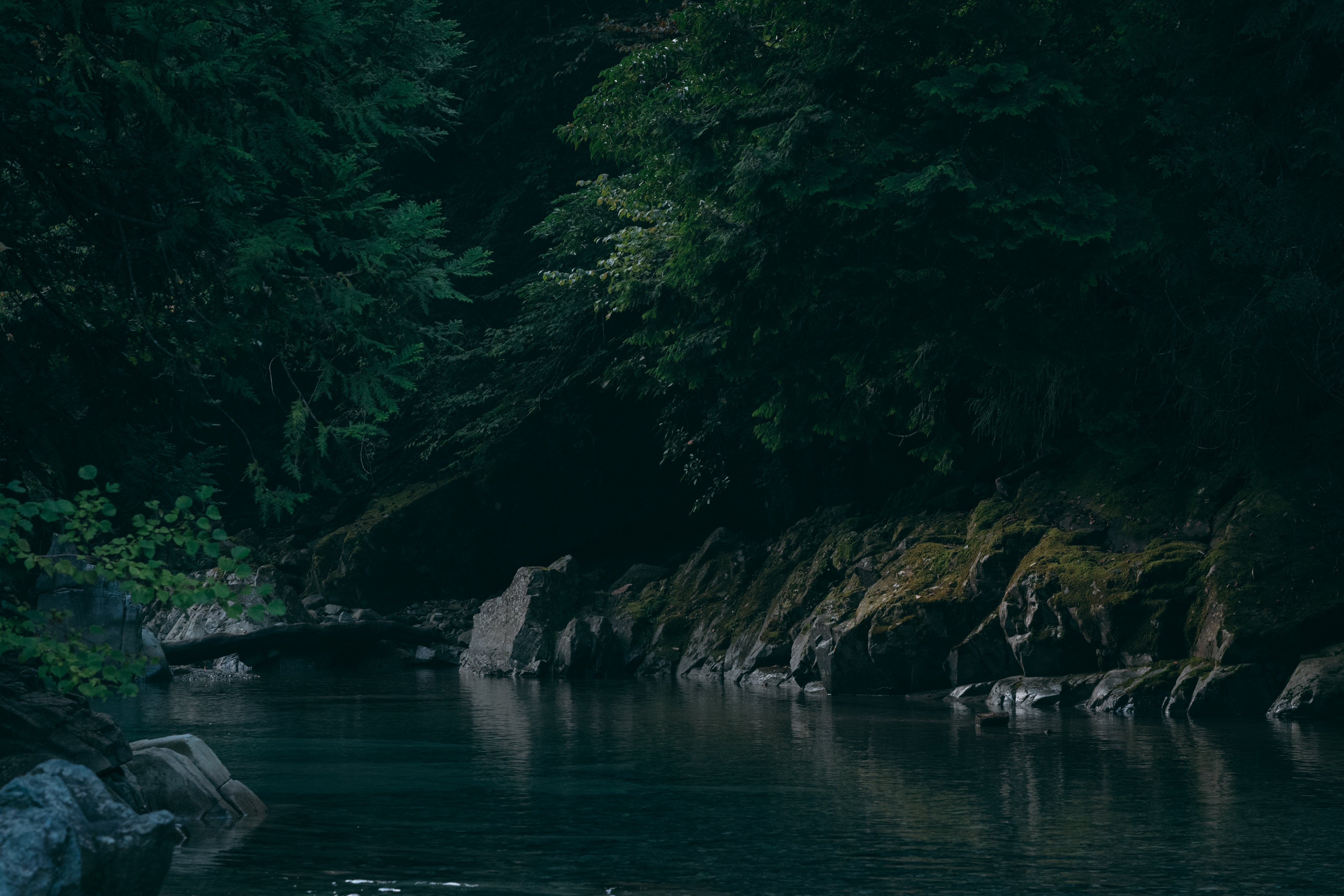 yudai_2491400014.jpg?&download=1