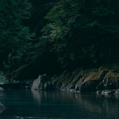 森の静けさに癒される付知峡の川辺の写真