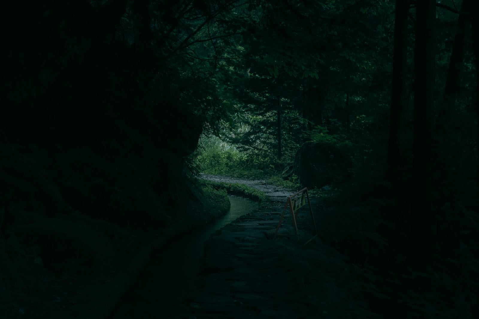 「森の奥へ誘う付知峡の遊歩道」の写真