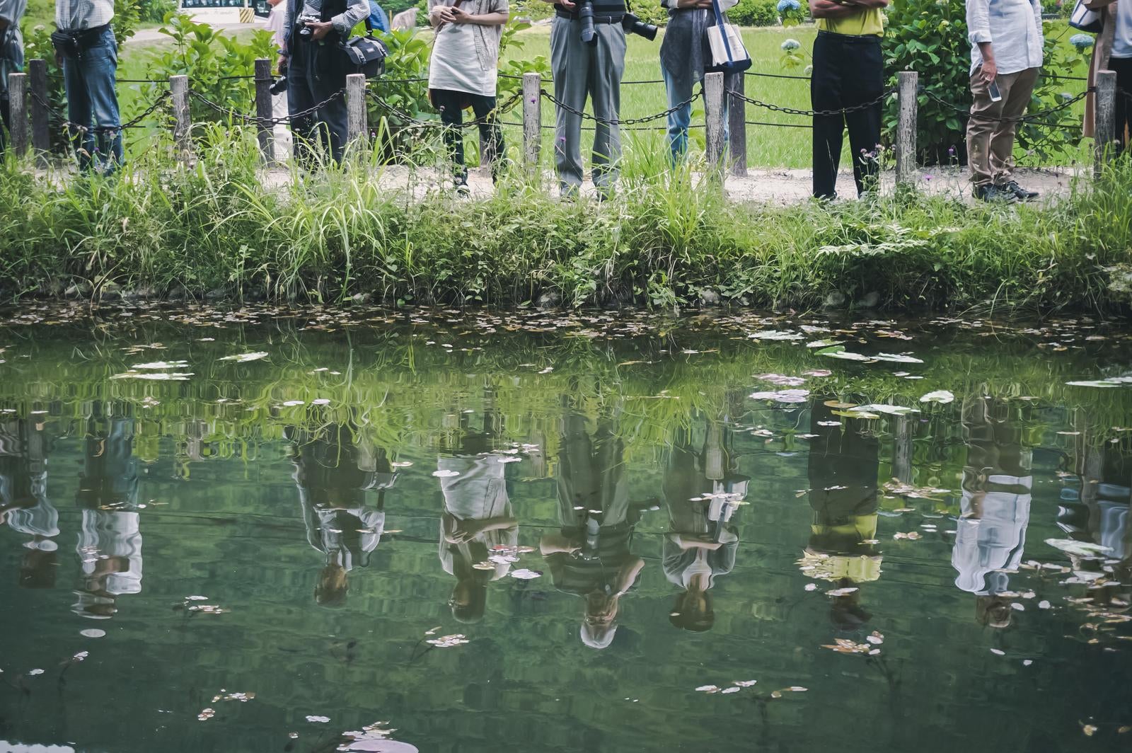 「水面に反射する池の前に立つカメコを持つ観光客の姿」の写真