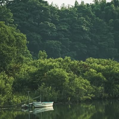 緑に囲まれた静かな水辺に浮かぶ白いボートの写真