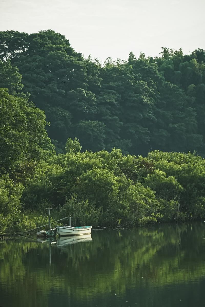 A serene landscape of a small white boat floating on a quiet pond surrounded by green trees, with lush greenery reflected in the water surface