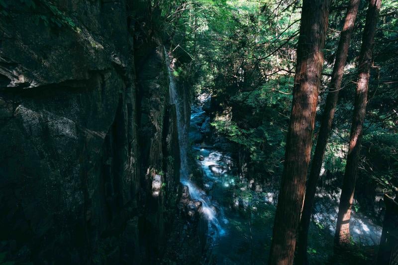 森林に囲まれた不動滝が作り出す自然の涼景の写真