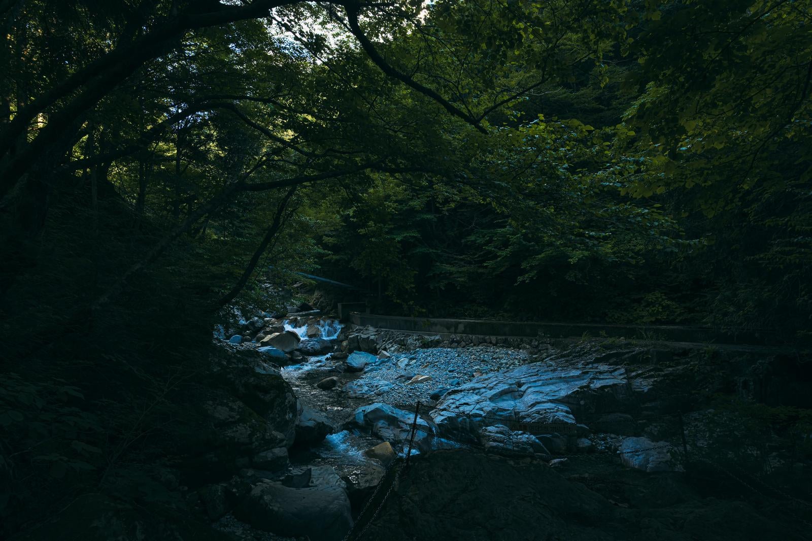 「森の中から望む岐阜県中津川市付知峡」の写真