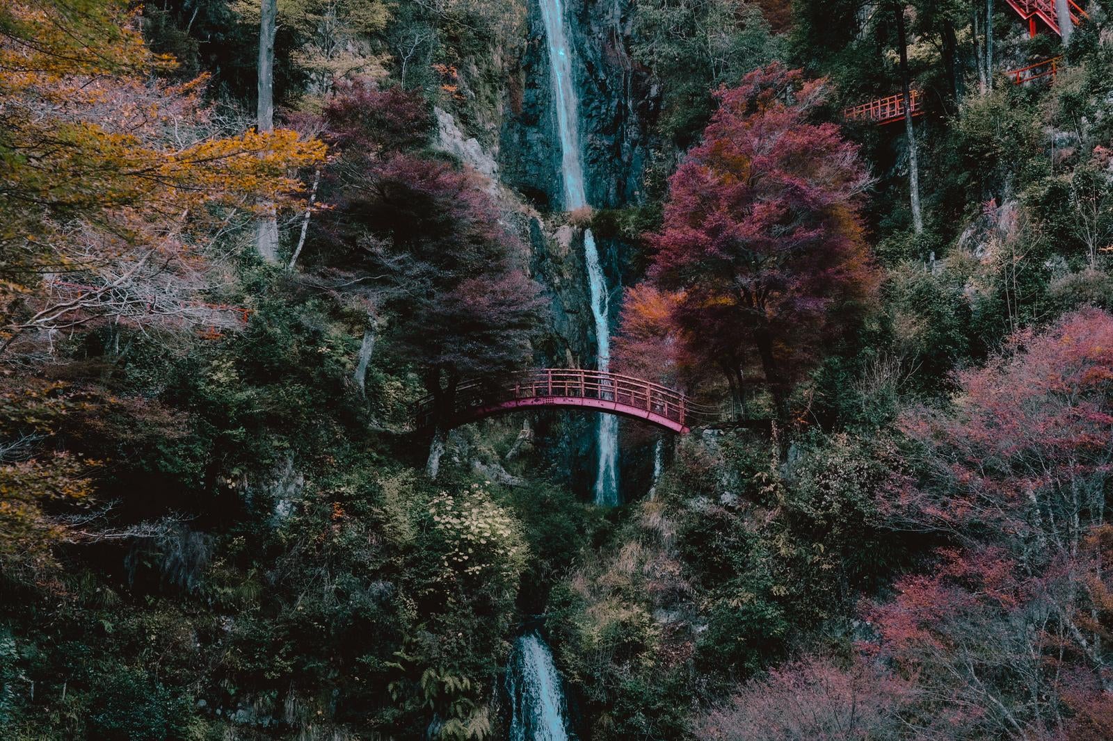 「紅葉に彩られた赤い橋と五宝滝が描く秋の絶景」の写真