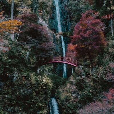 紅葉に彩られた赤い橋と五宝滝が描く秋の絶景の写真