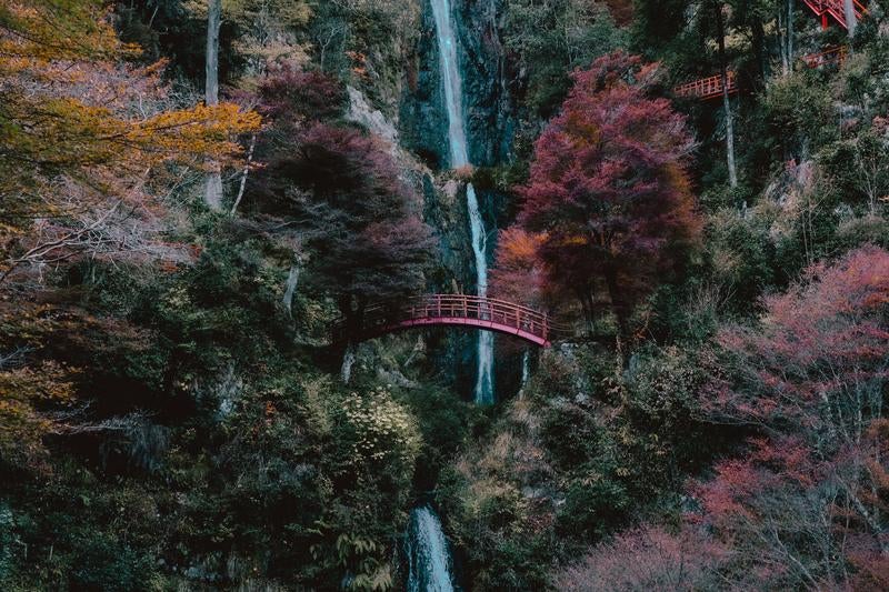 写真素材 創造素材 自然シリーズ (5) 渓流・滝(代引不可) 写真素材 創造素材 自然シリーズ (5) 渓流・滝 直送・代引不可 写真