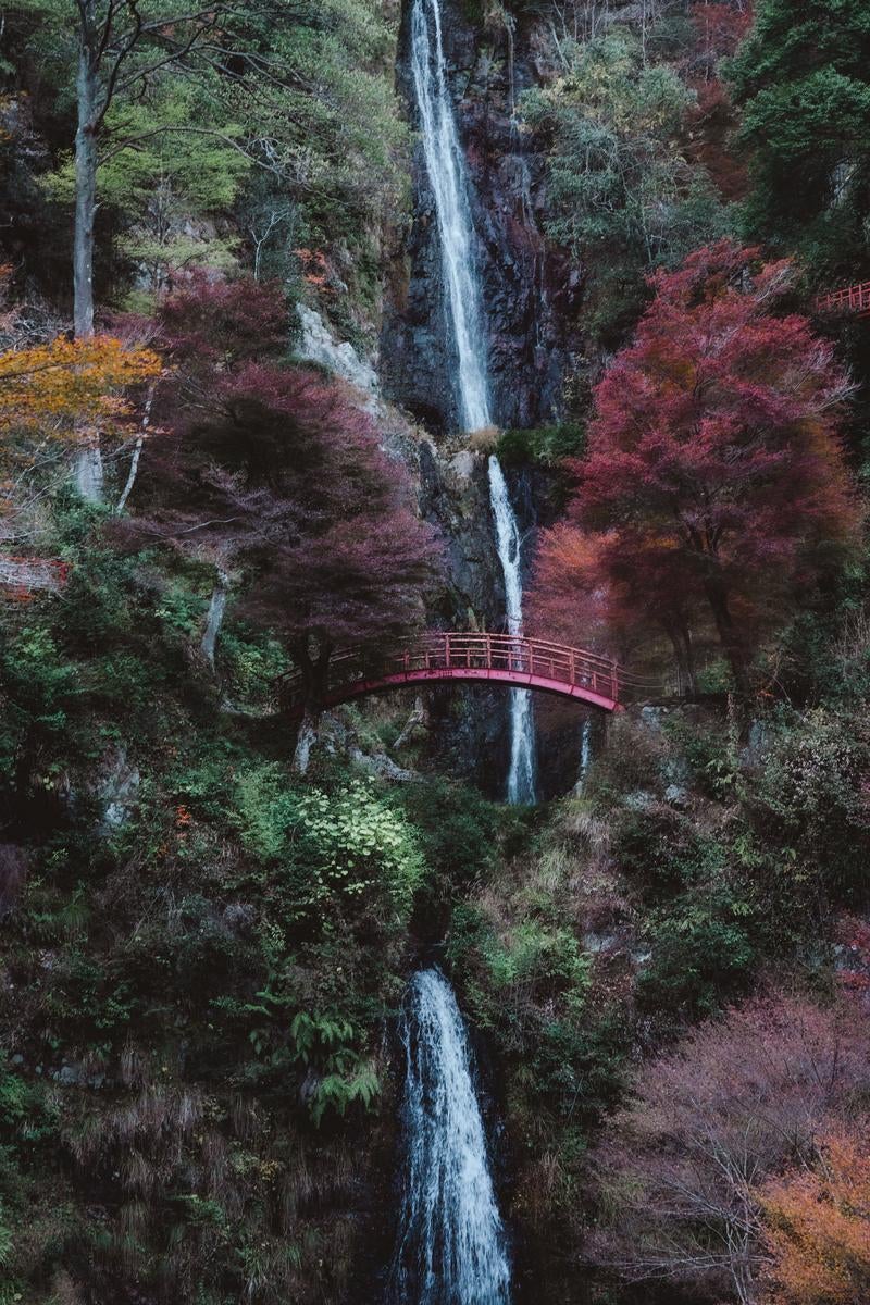 季節を映す五宝滝と紅葉に包まれた渓谷美の写真