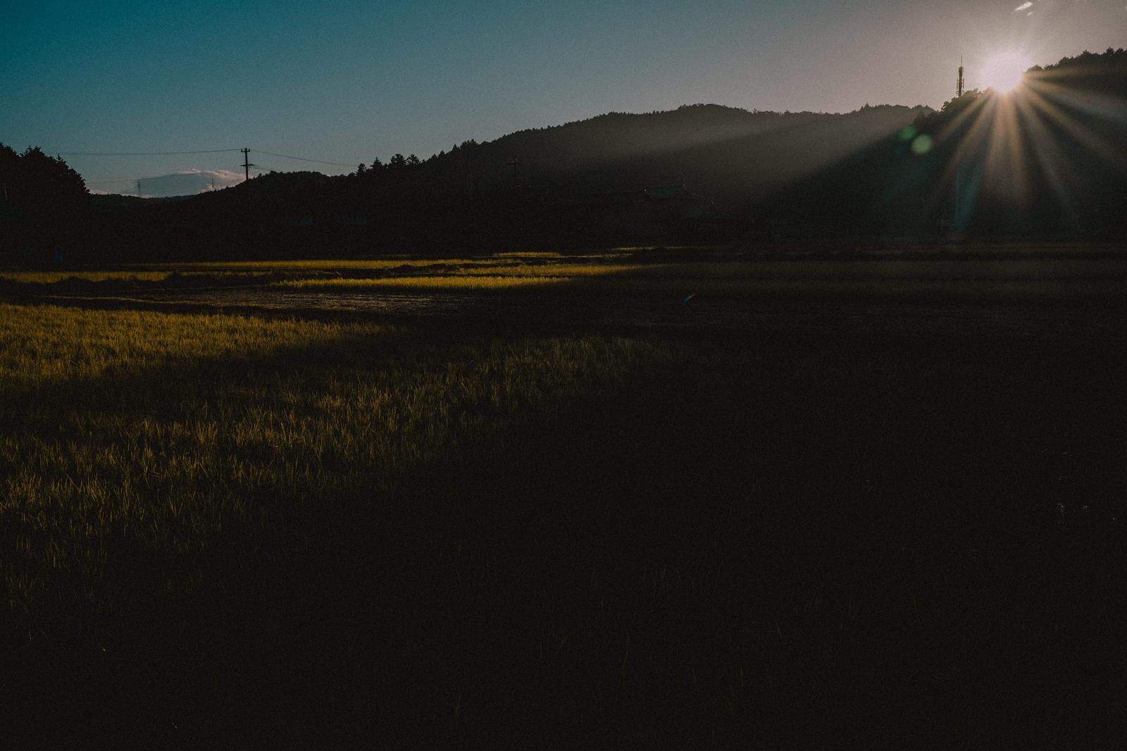 「光と影が織りなす早朝の田園風景」の写真