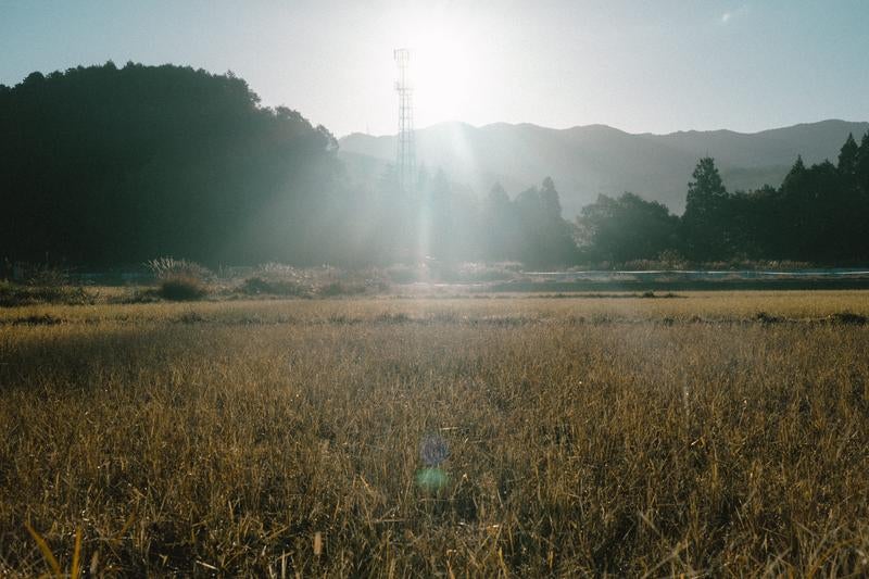 山間部に佇む通信塔と黄金色に染まる田園風景の写真