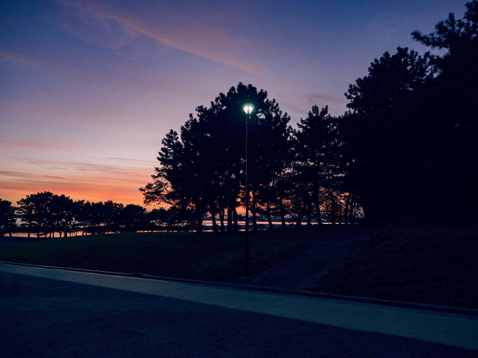 「夕暮れ空と公園の木々のシルエット」の写真