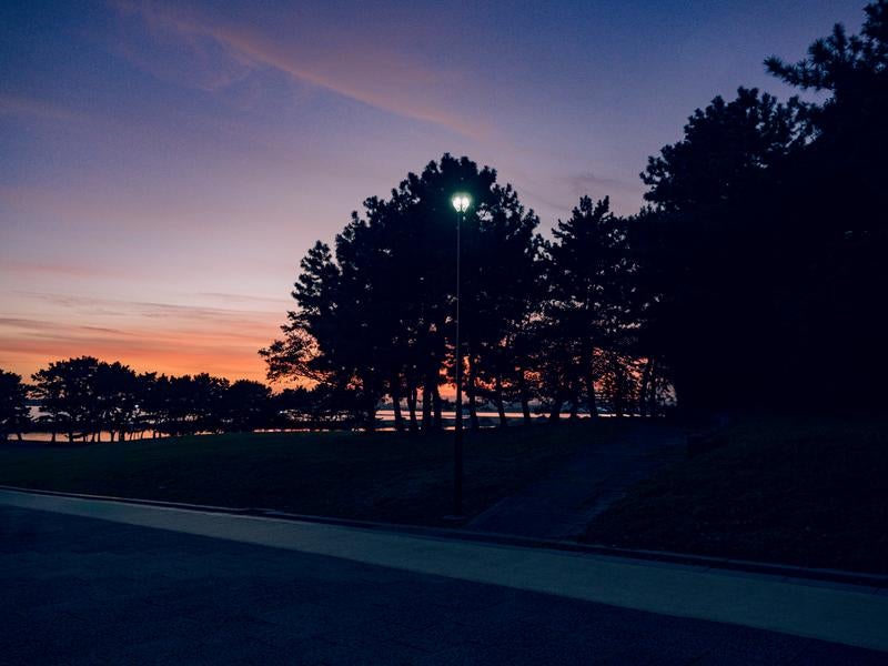 夕暮れ空と公園の木々のシルエットの写真