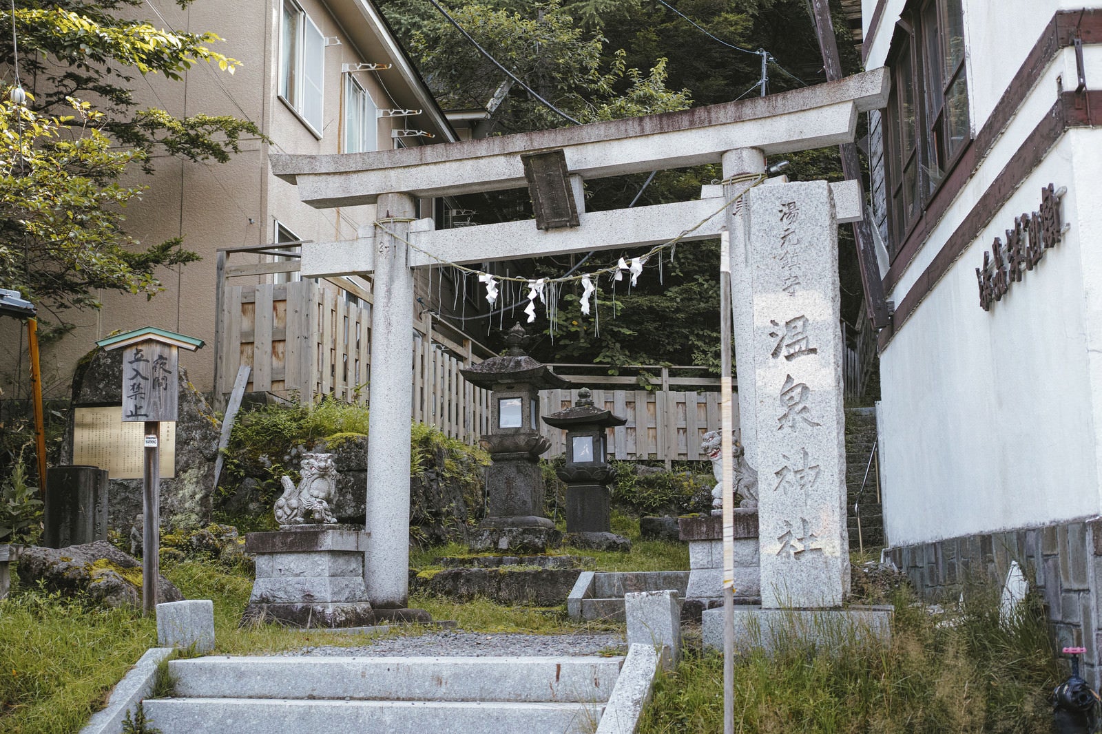 「温泉神社の鳥居」の写真