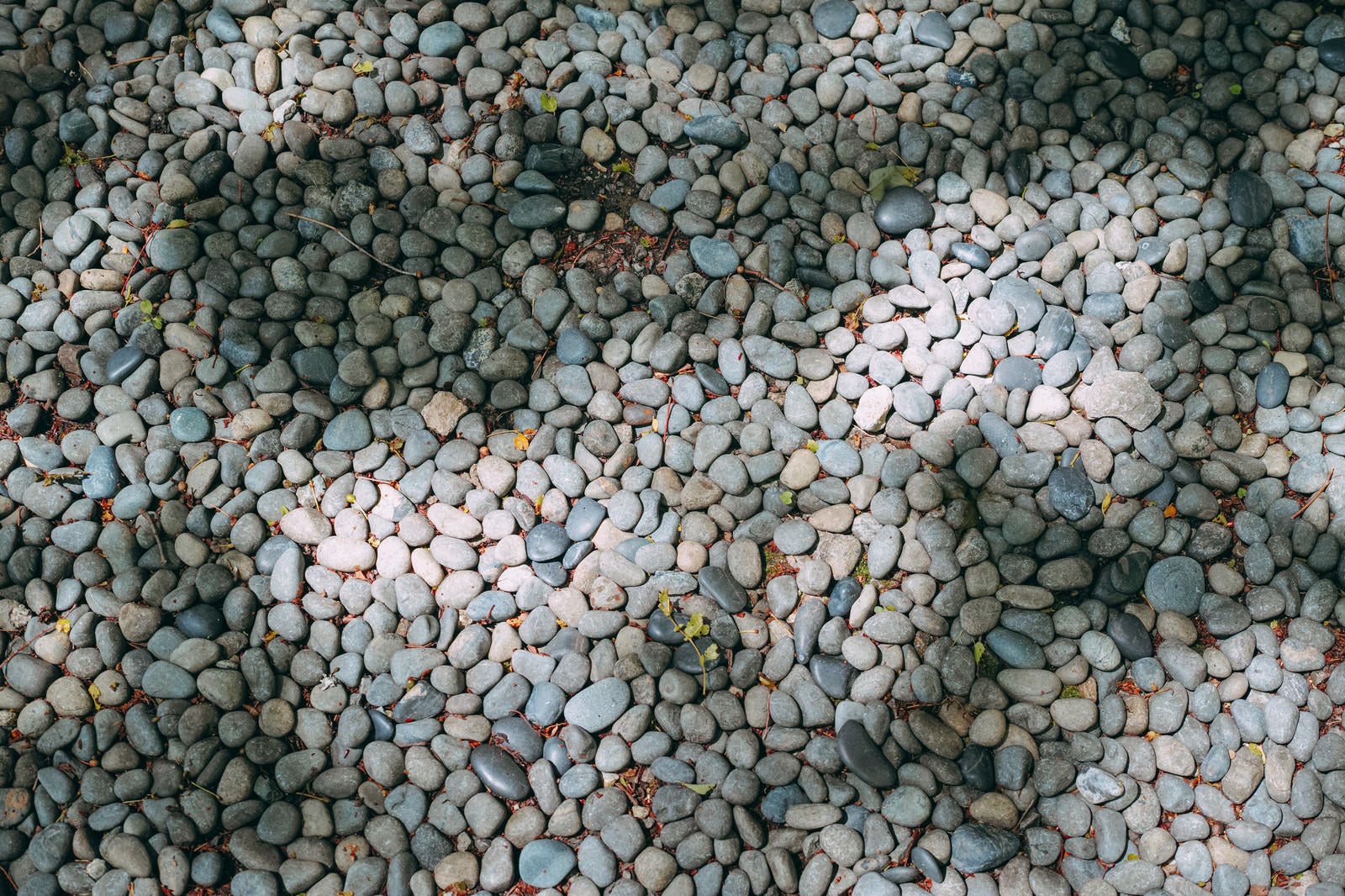 「庭にまかれた玉砂利」の写真