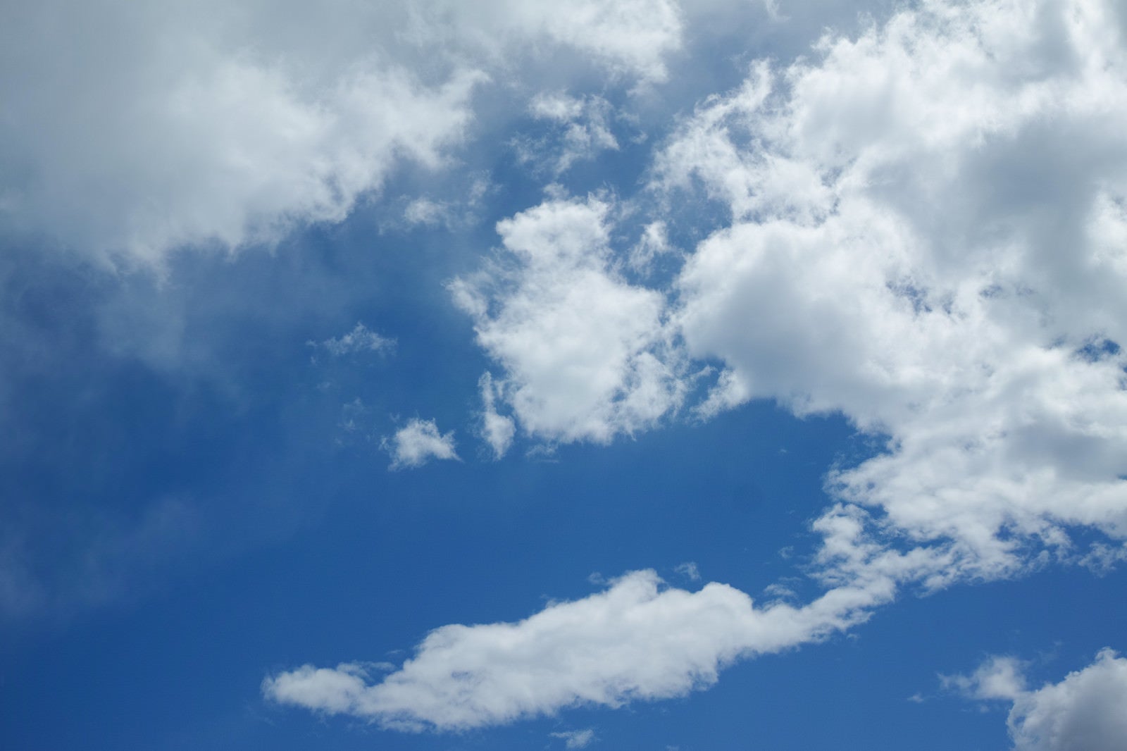 「空に増えていく雲」の写真