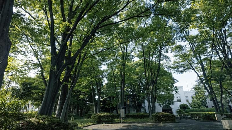 北区中央公園の木々と文化センターの写真