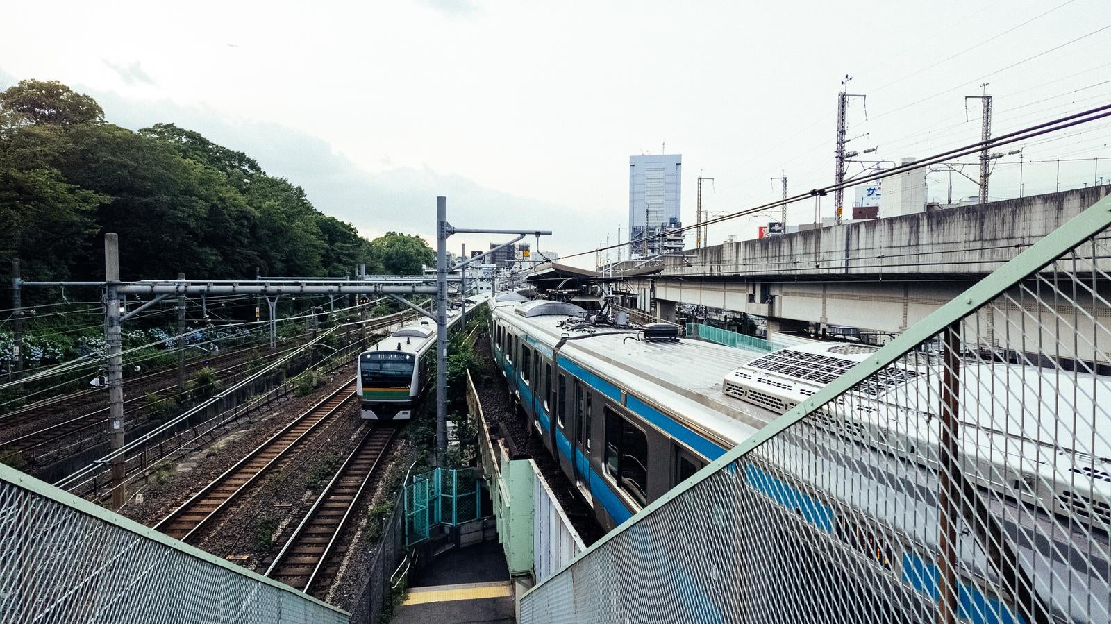 「王子駅を走る京浜東北線と湘南新宿ライン」の写真