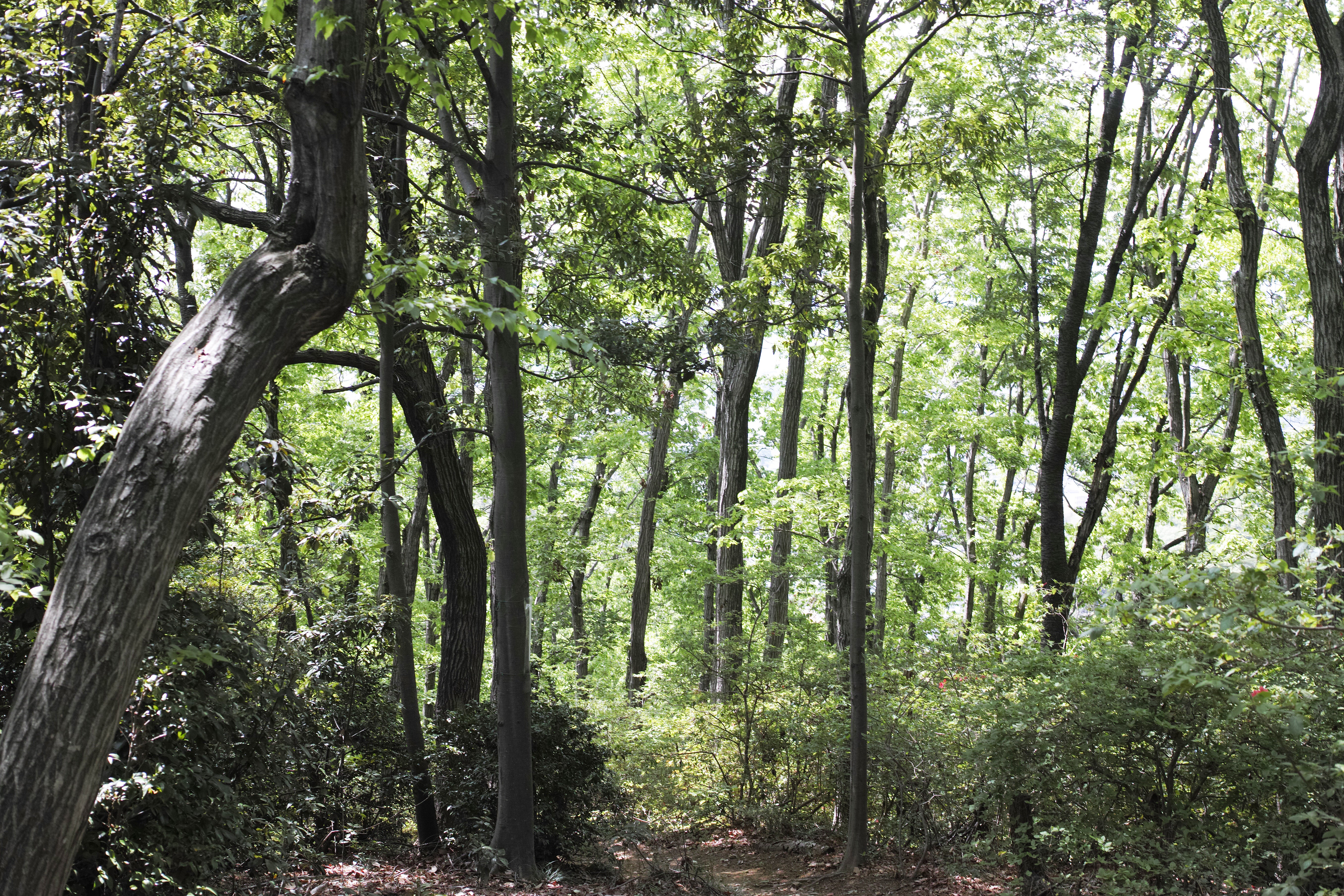 yukillowSDIM0026.jpg?&download=1