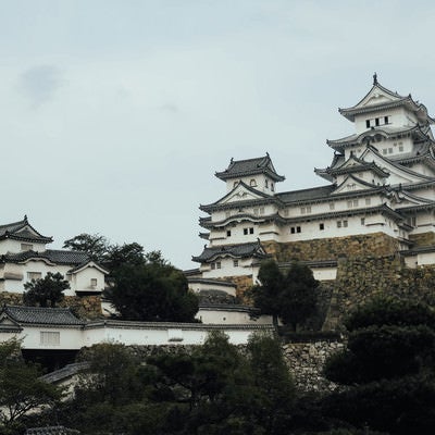 日本の城跡（姫路城）の写真