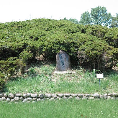 小さめなサイズの墳墓（七観音古墳）の写真