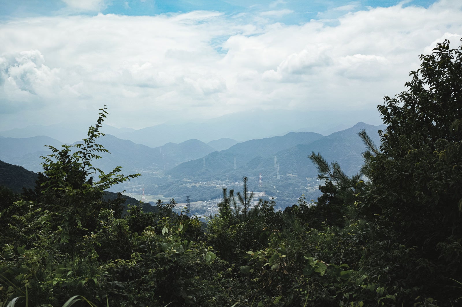 「森の中から見える山間の町並み」の写真