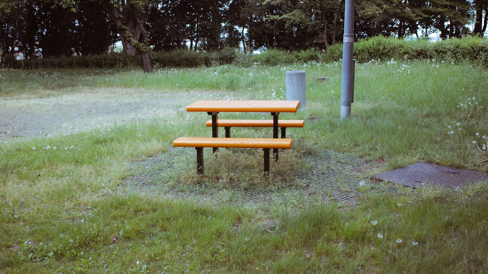 「公園に設置されたテーブルベンチセット」の写真