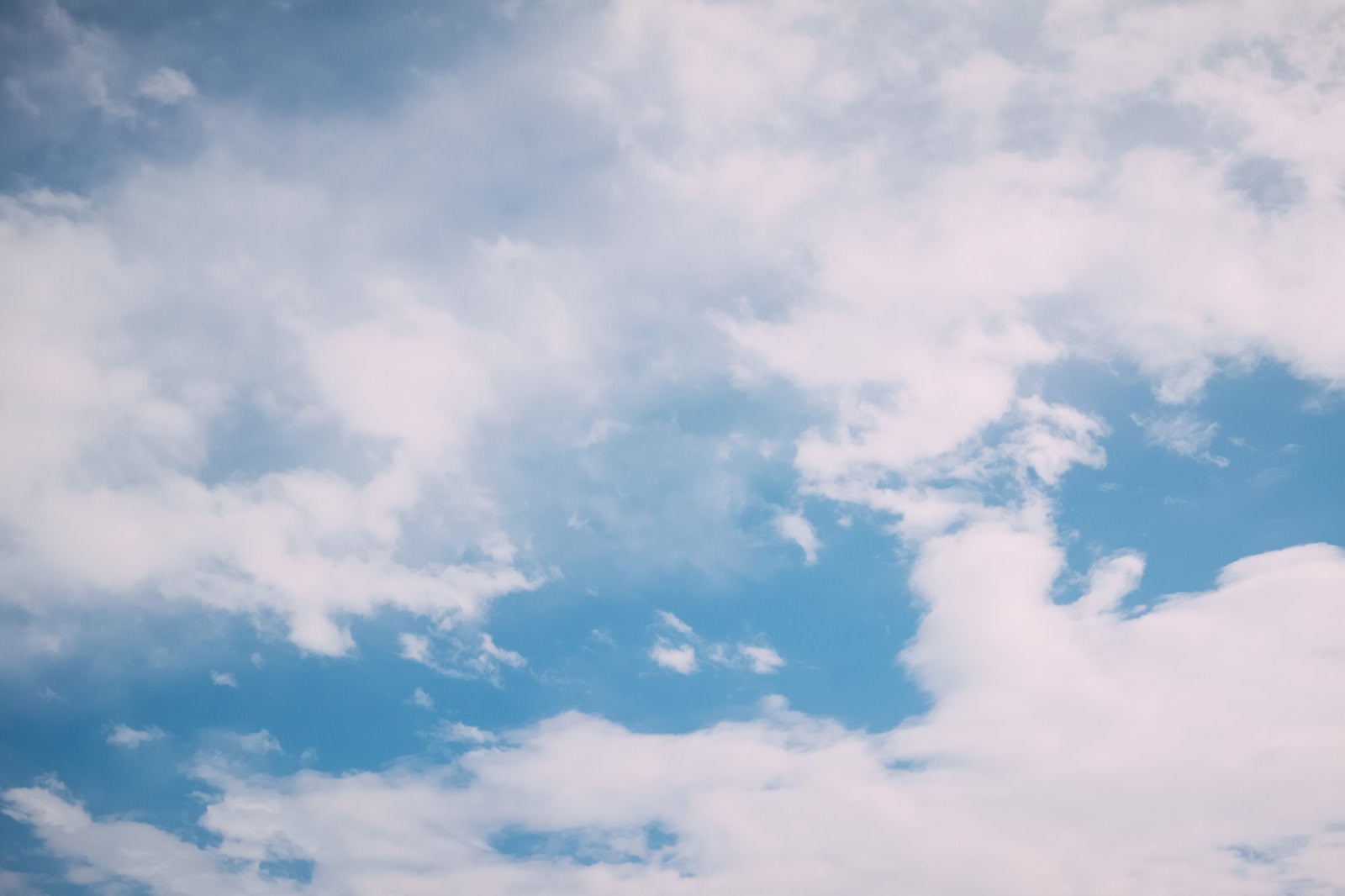 「青空に広がる積雲」の写真