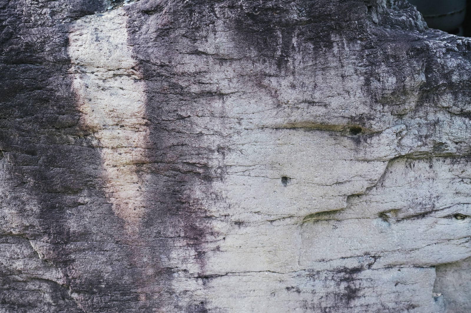 「海辺の岩肌のテクスチャー」の写真