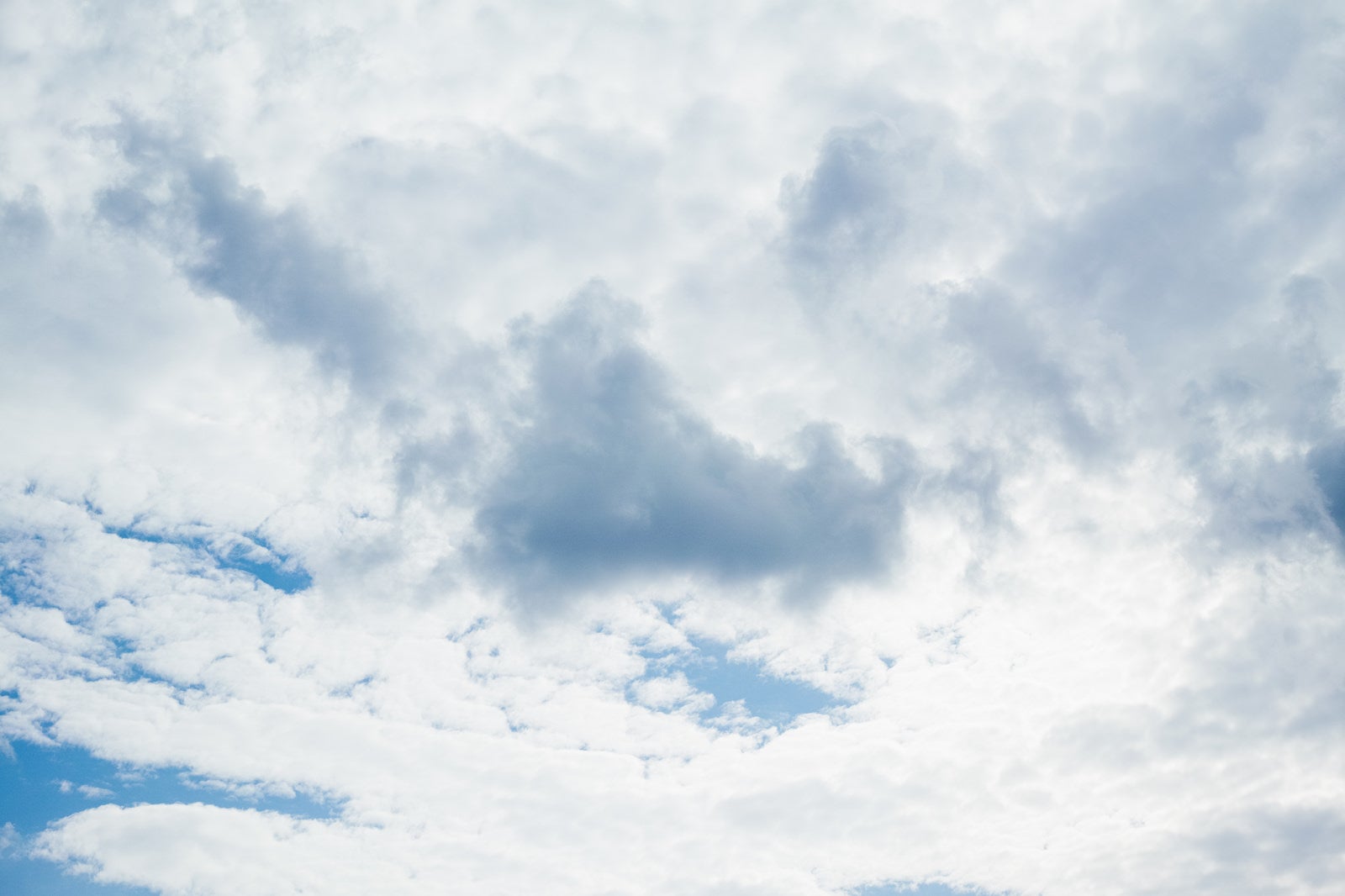 「浮かぶ雲」の写真