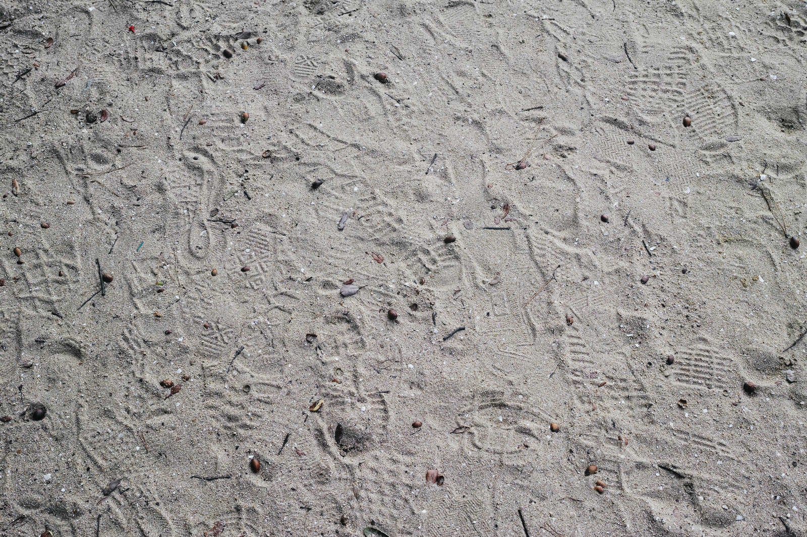 「砂場に残る足跡」の写真