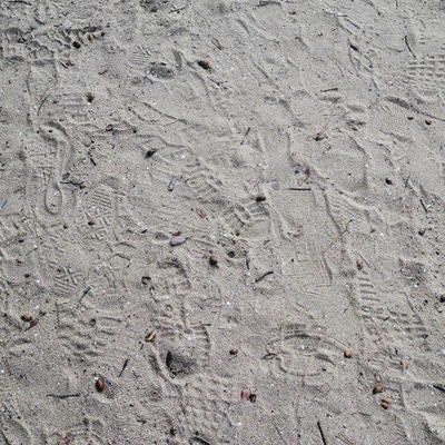 砂場に残る足跡の写真