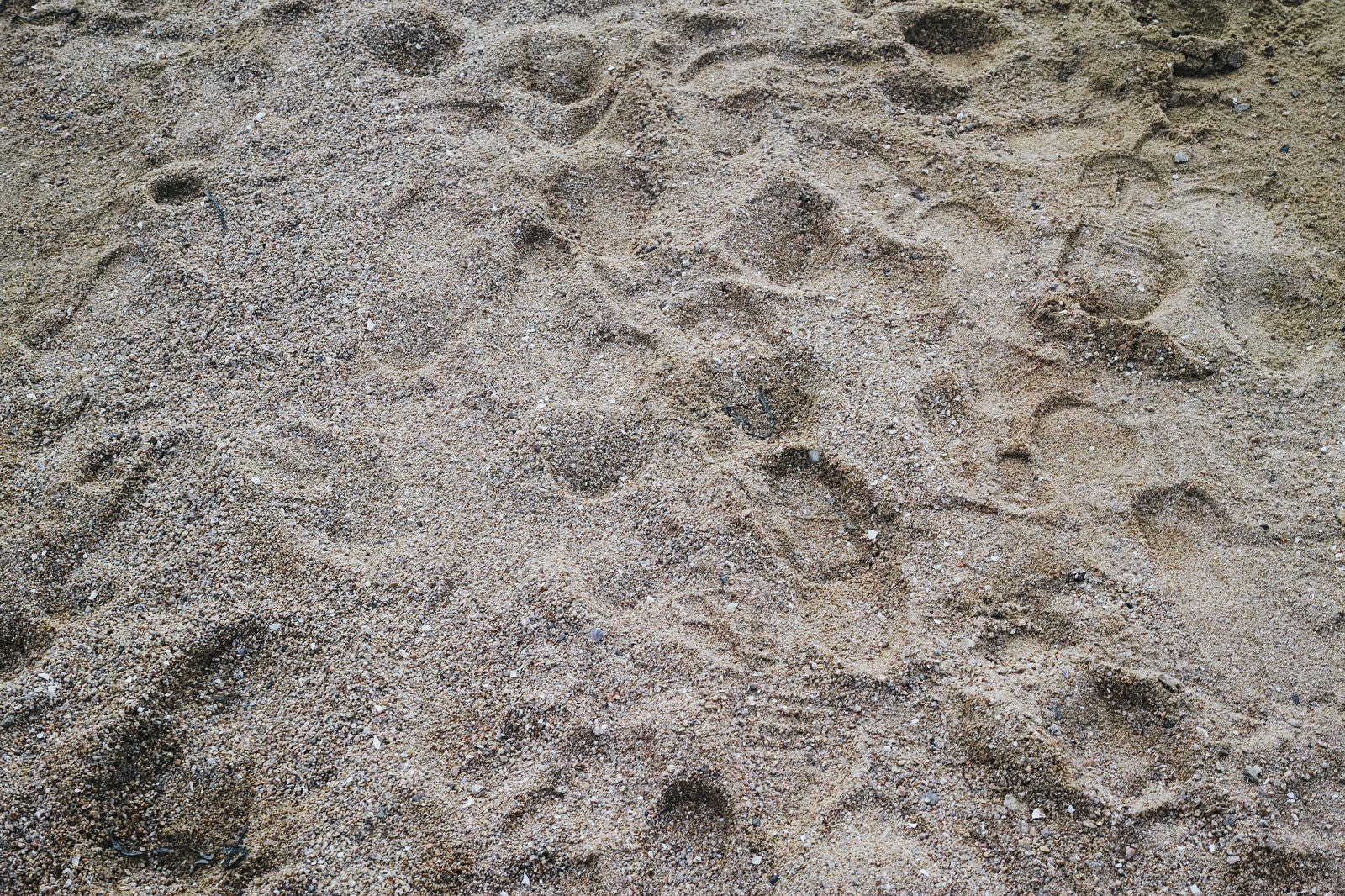 「浜辺に残る靴の跡」の写真
