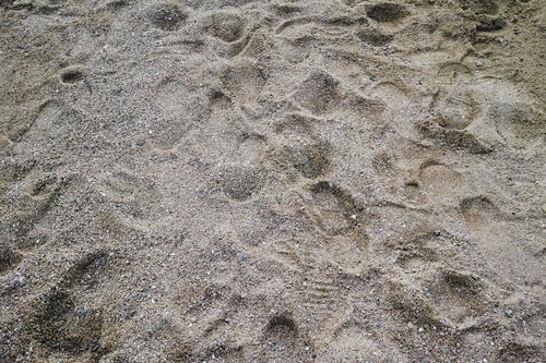 浜辺に残る靴の跡の写真