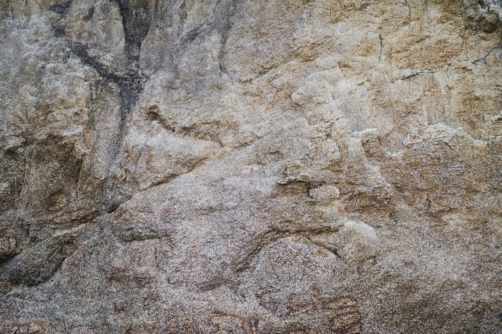 「白くざらつく岩肌のテクスチャー」の写真