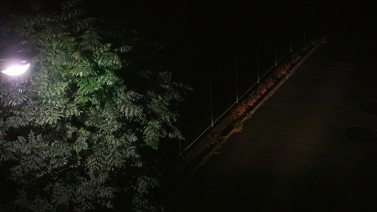 「暗がりの夜道」の写真