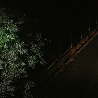 暗がりの夜道の写真